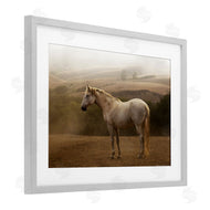 Sally Linden | Morning Mist Horse Portrait