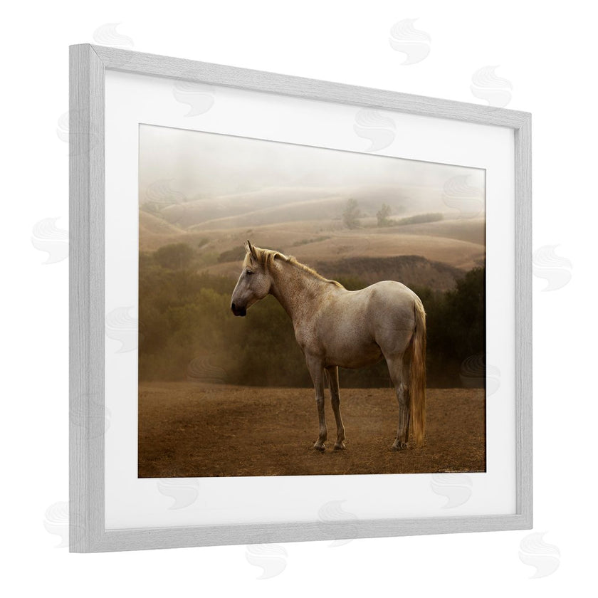 Sally Linden | Morning Mist Horse Portrait