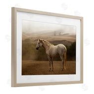 Sally Linden | Morning Mist Horse Portrait