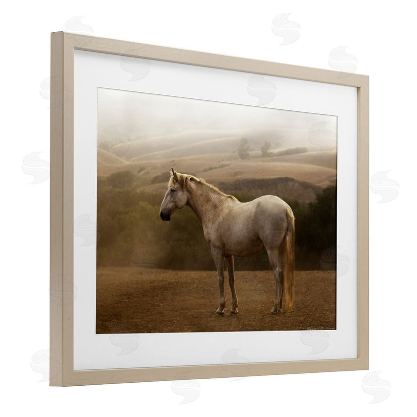 Sally Linden | Morning Mist Horse Portrait