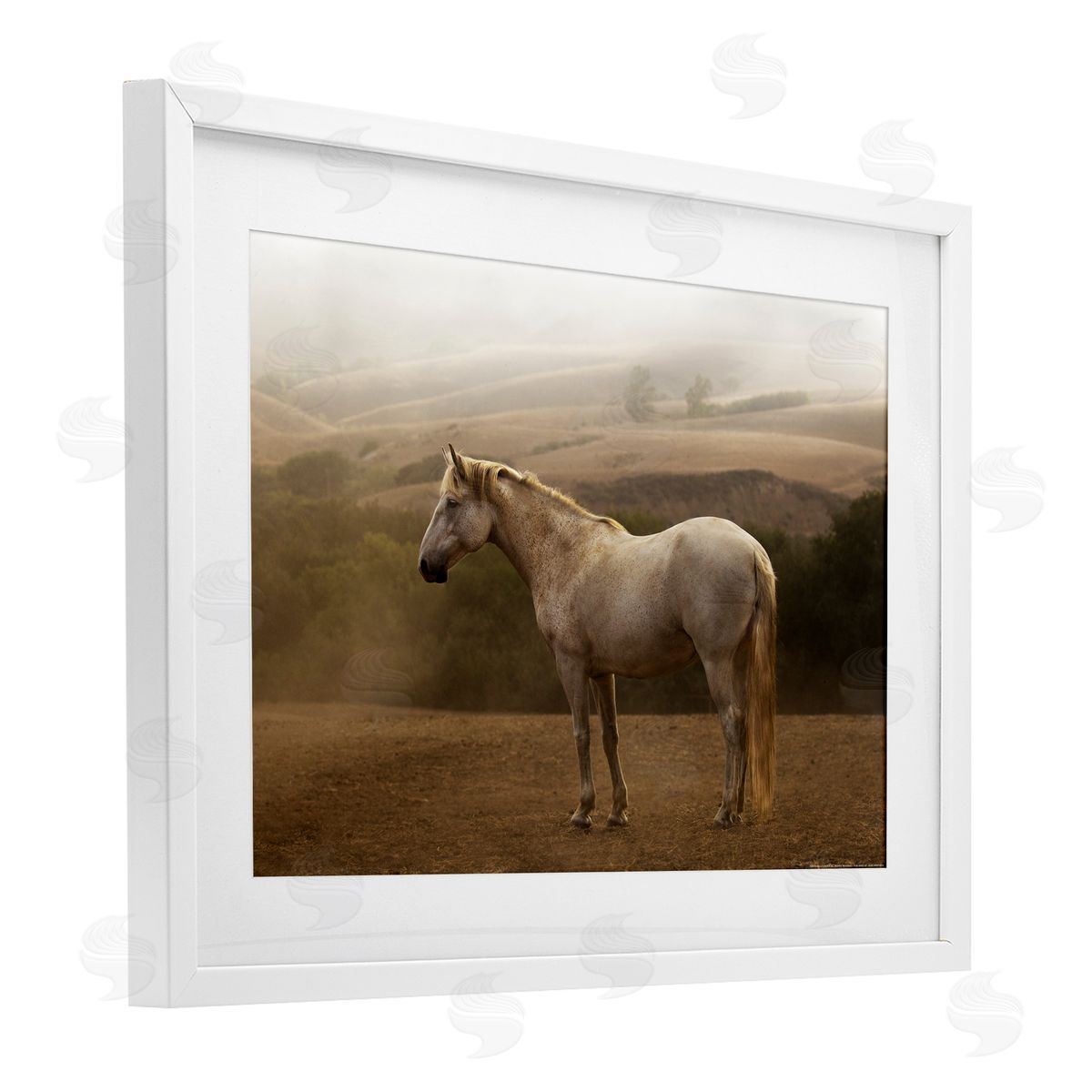 Sally Linden | Morning Mist Horse Portrait