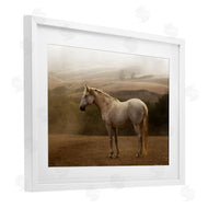 Sally Linden | Morning Mist Horse Portrait