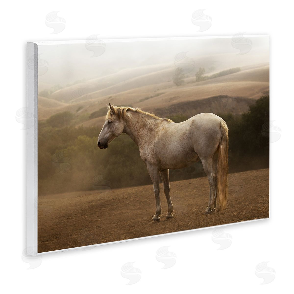 Sally Linden | Morning Mist Horse Portrait