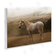 Sally Linden | Morning Mist Horse Portrait