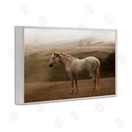 Sally Linden | Morning Mist Horse Portrait