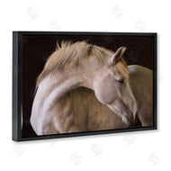 Sally Linden | White Beauty Horse Portrait