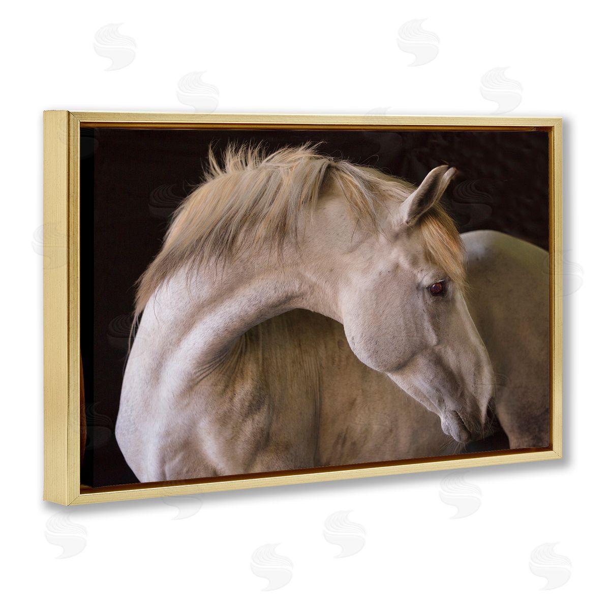 Sally Linden | White Beauty Horse Portrait
