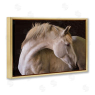 Sally Linden | White Beauty Horse Portrait