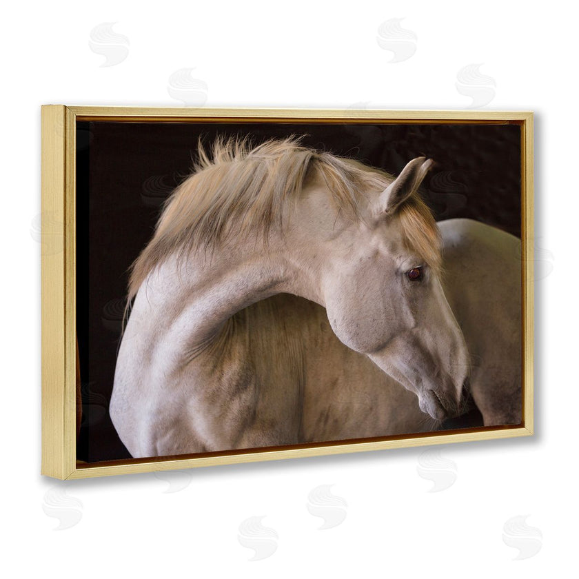 Sally Linden | White Beauty Horse Portrait