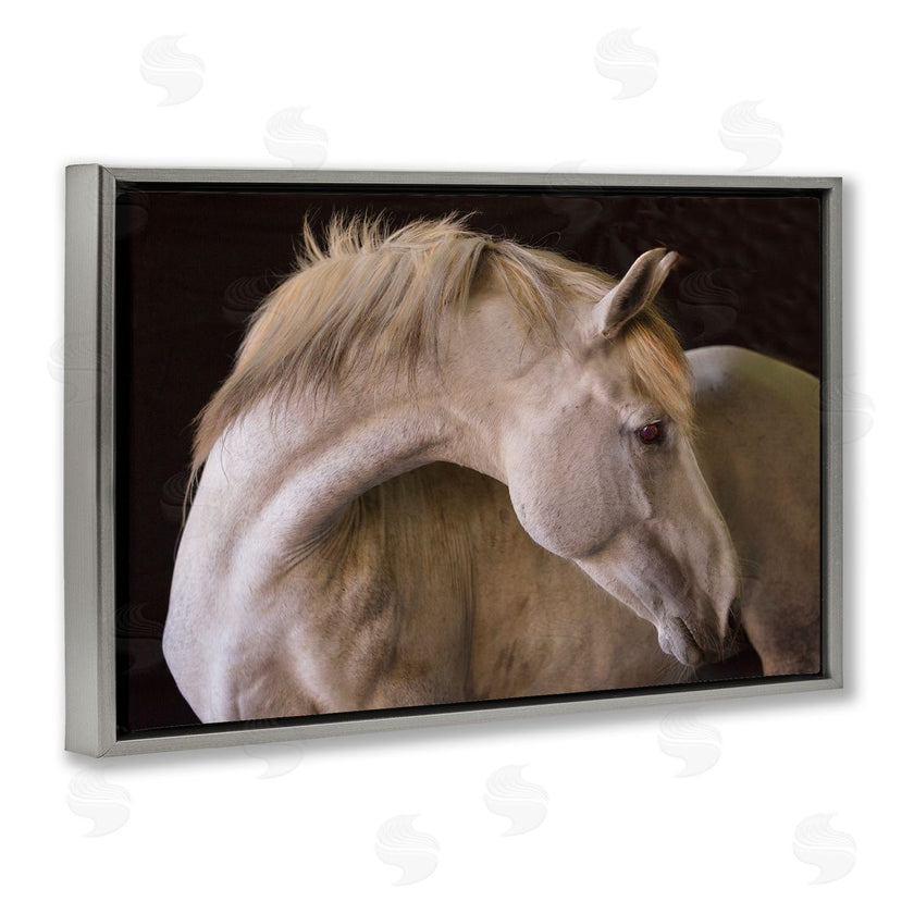 Sally Linden | White Beauty Horse Portrait