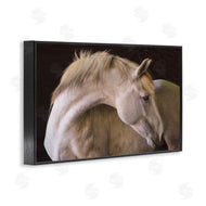 Sally Linden | White Beauty Horse Portrait