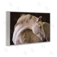 Sally Linden | White Beauty Horse Portrait