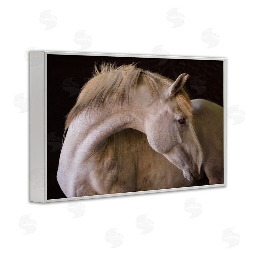 Sally Linden | White Beauty Horse Portrait