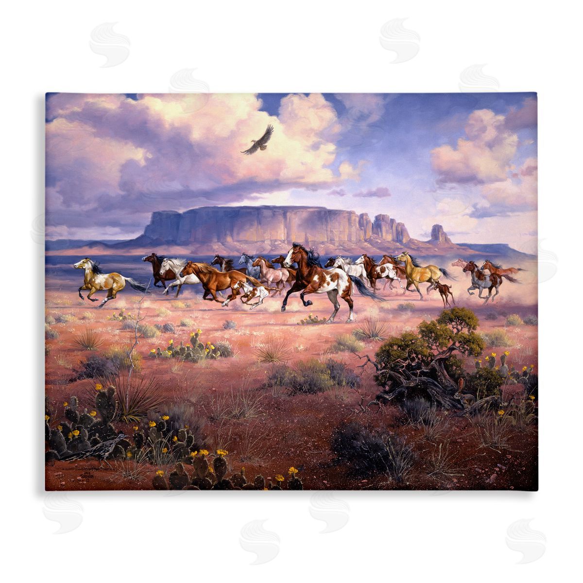 Jack Sorenson | Western Canyon Horse Stampede