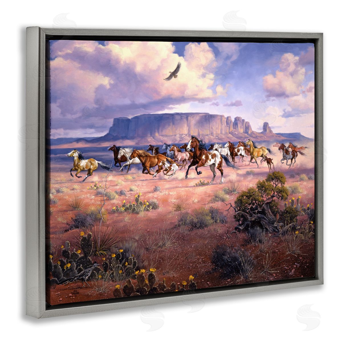 Jack Sorenson | Western Canyon Horse Stampede