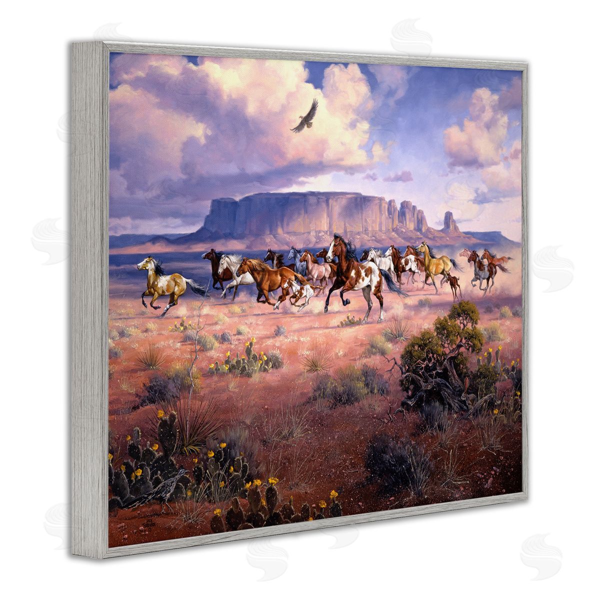 Jack Sorenson | Western Canyon Horse Stampede