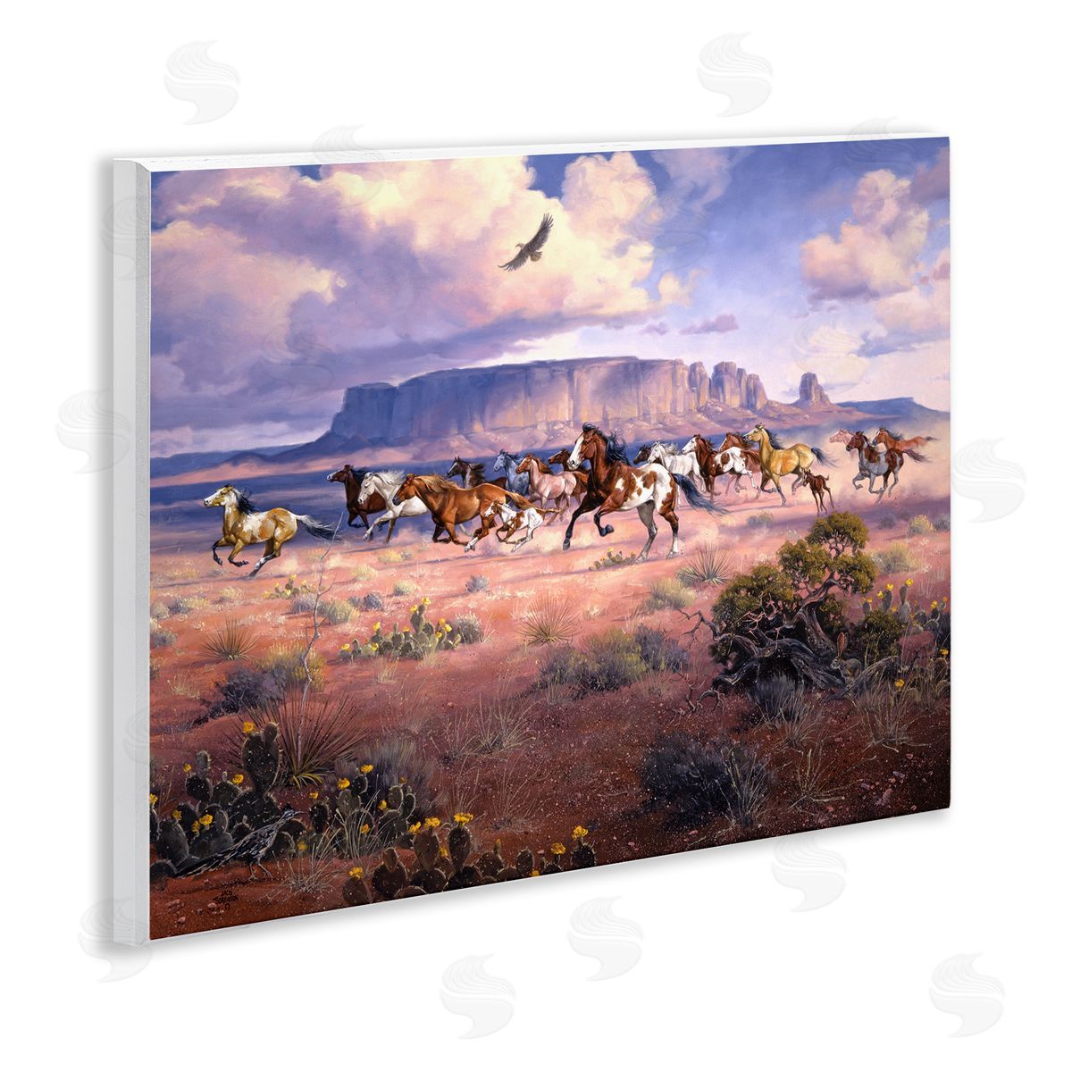 Jack Sorenson | Western Canyon Horse Stampede