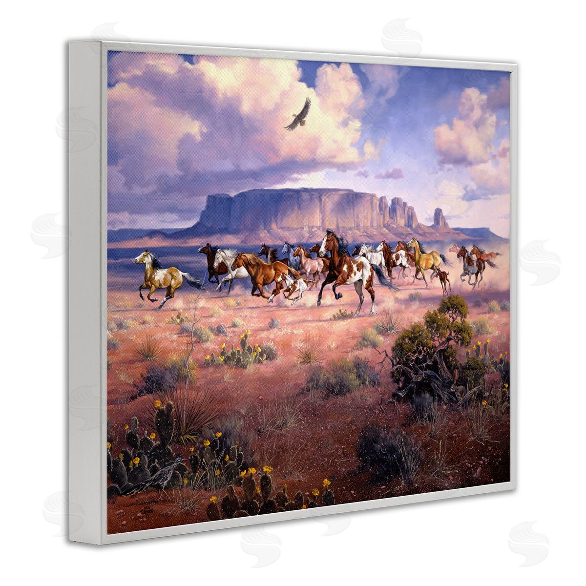Jack Sorenson | Western Canyon Horse Stampede