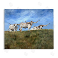 Kathy Winkler  | White Longhorns over Hill