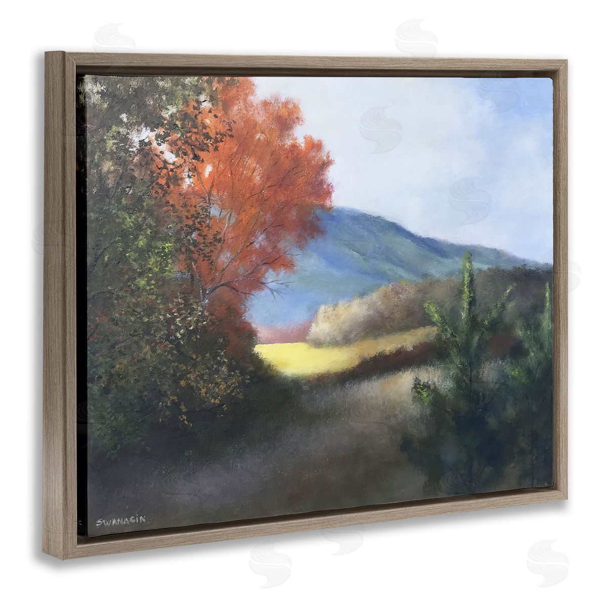 David Swanagin | Autumn Foliage Mountain Scenery