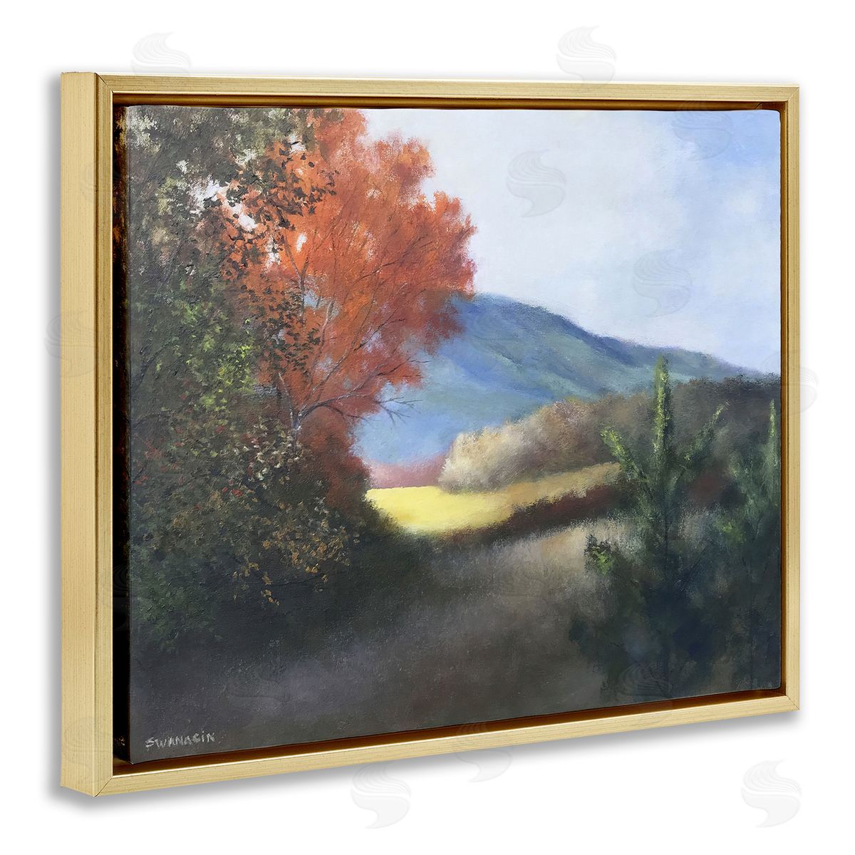 David Swanagin | Autumn Foliage Mountain Scenery