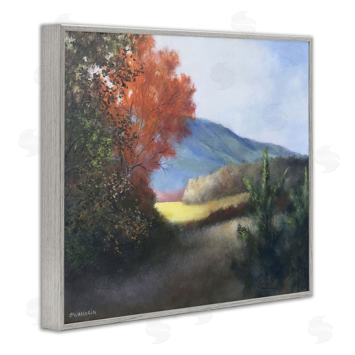 David Swanagin | Autumn Foliage Mountain Scenery