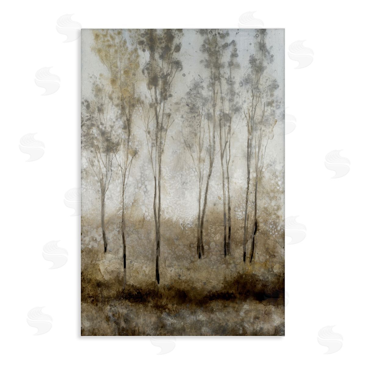 Tim OToole | Subtle Woodland Shimmering Light
