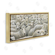 Michael Willett | Herd Mentality Sheep