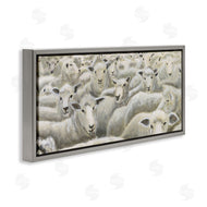 Michael Willett | Herd Mentality Sheep