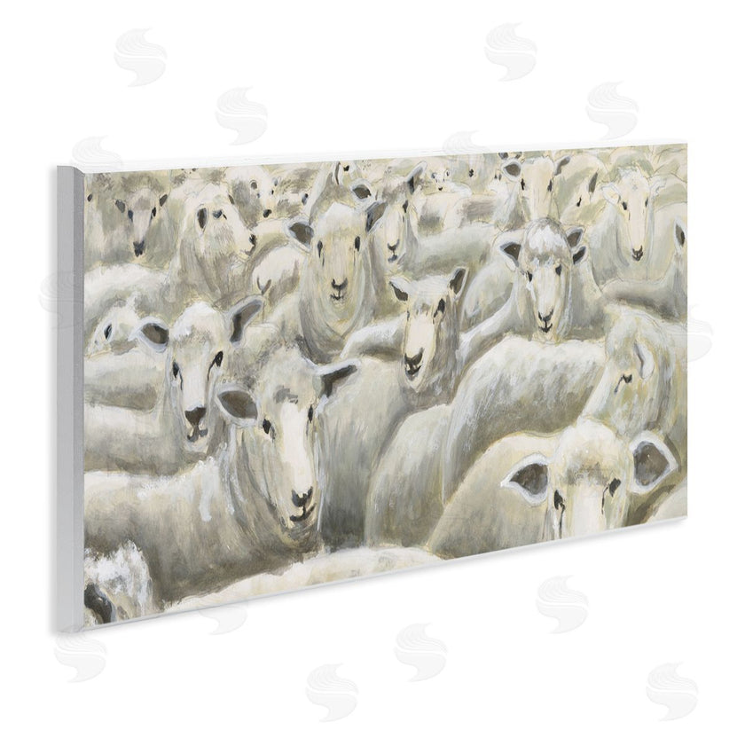 Michael Willett | Herd Mentality Sheep