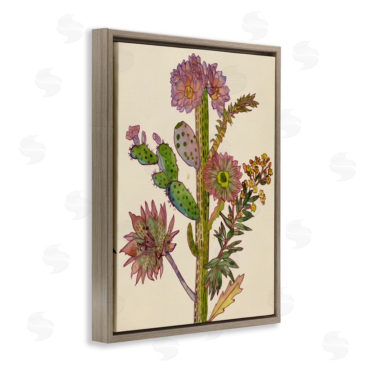 Melissa Wang | Neon Blooms Cactus