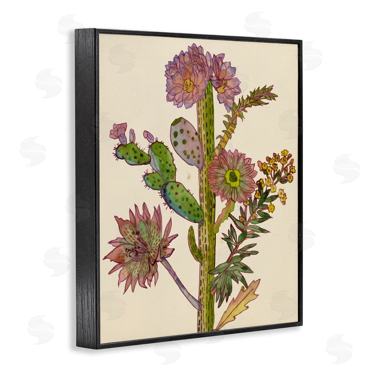 Melissa Wang | Neon Blooms Cactus