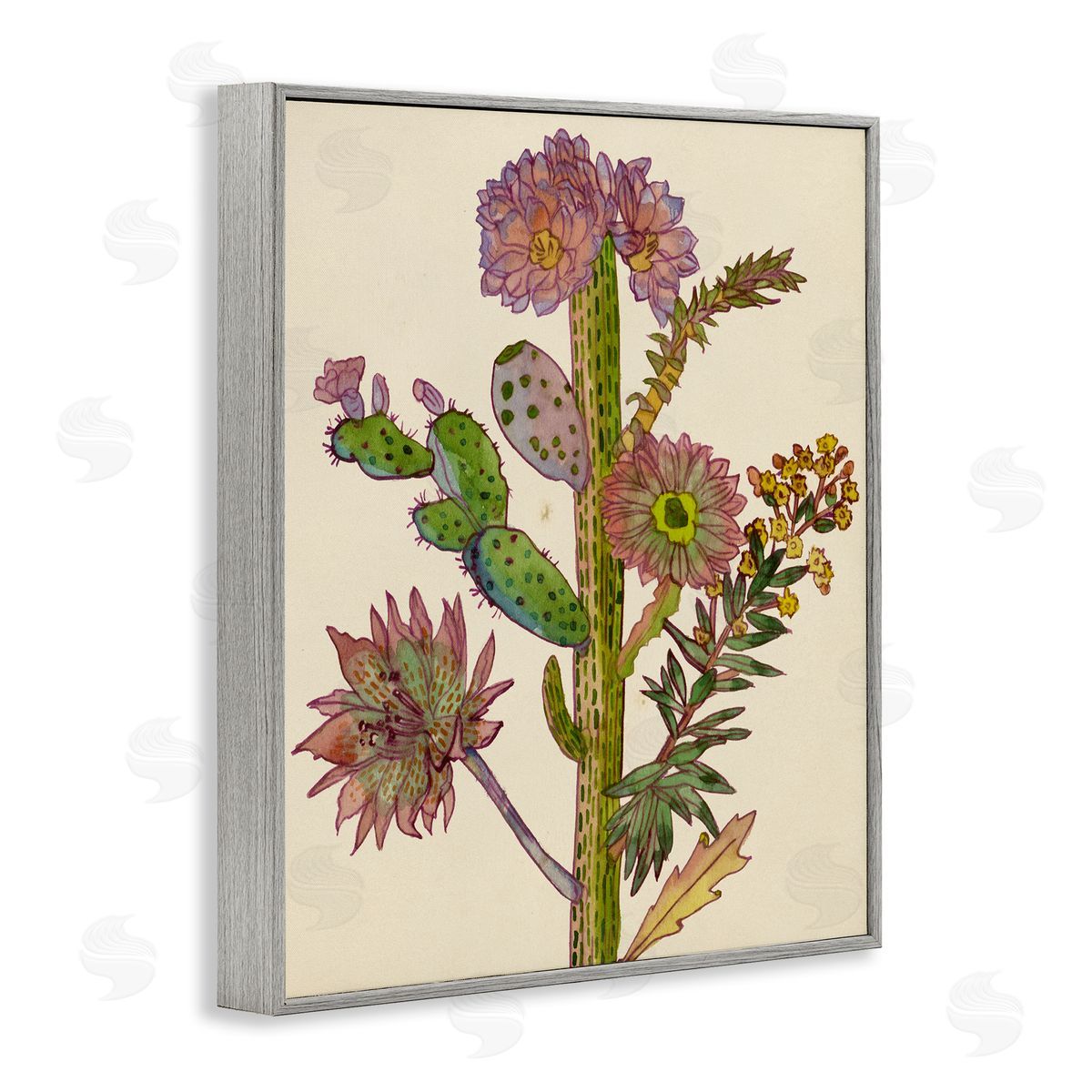 Melissa Wang | Neon Blooms Cactus