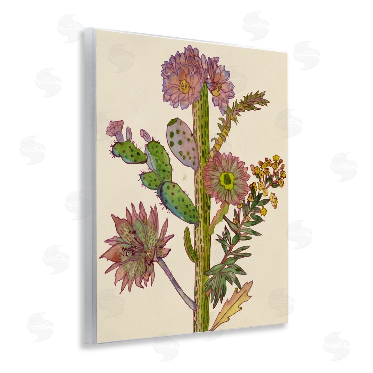 Melissa Wang | Neon Blooms Cactus