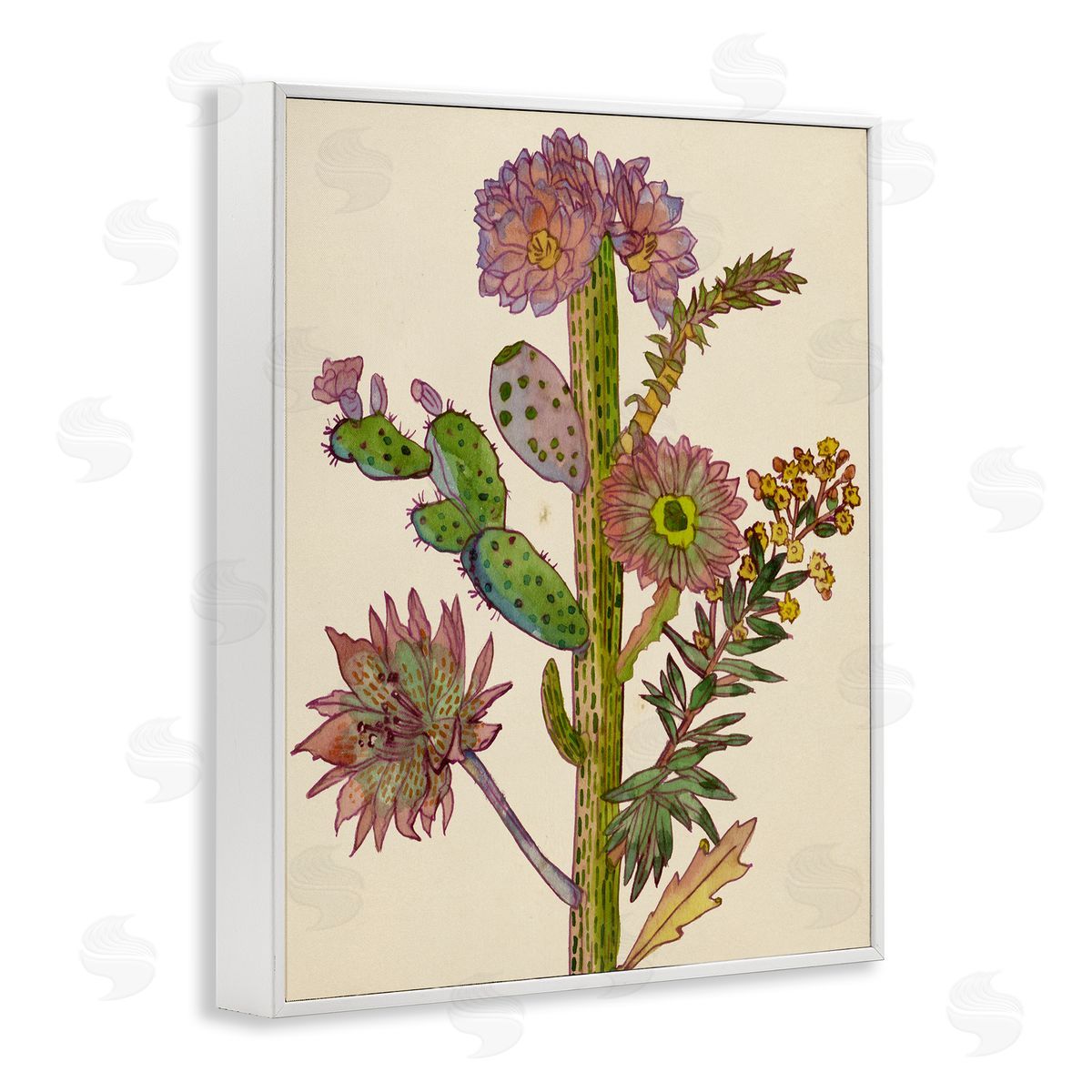 Melissa Wang | Neon Blooms Cactus