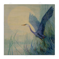 Floy Zittin | Heron Lifting Off