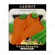 Lil' Rue | Vintage Gardening Carrot