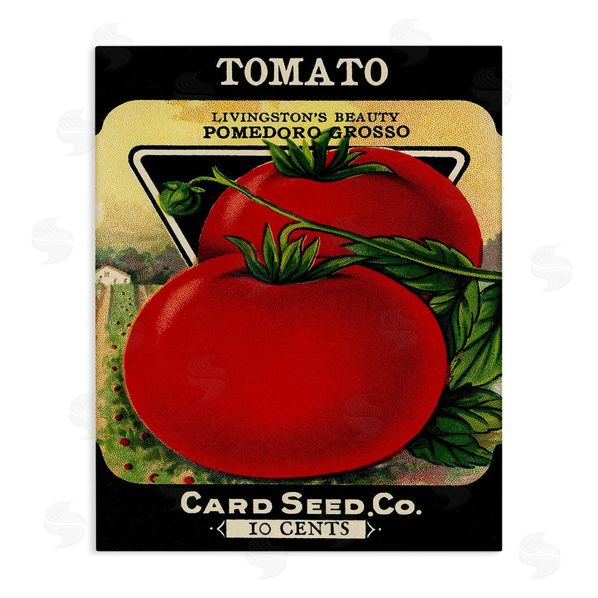Lil' Rue | Vintage Gardening Tomato