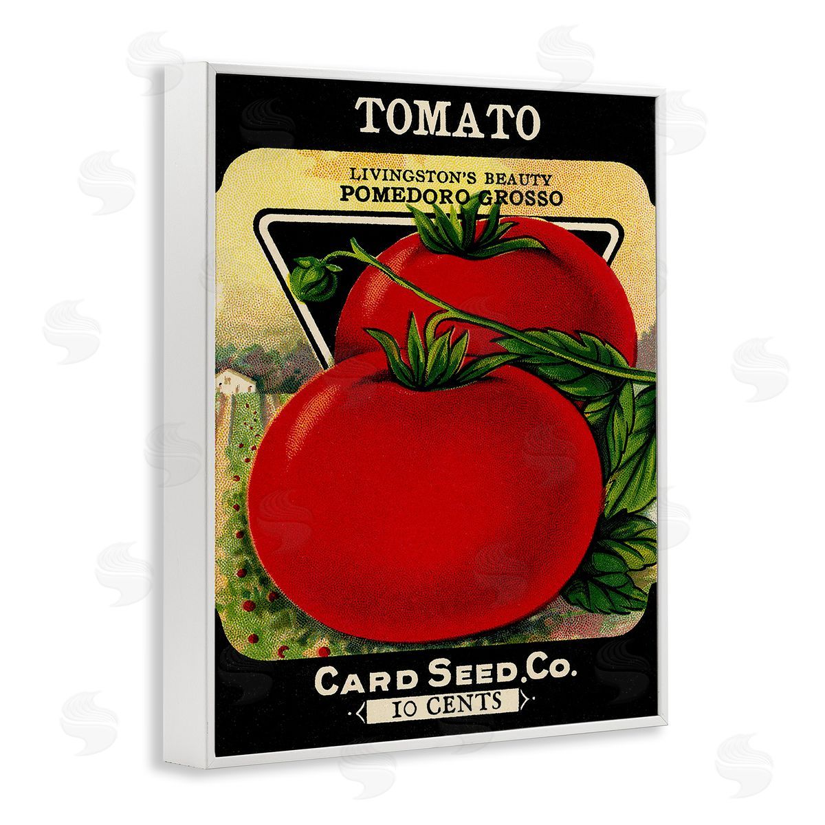 Lil' Rue | Vintage Gardening Tomato