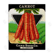 Lil' Rue | Vintage Gardening Carrots