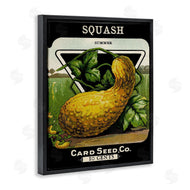 Lil' Rue | Vintage Gardening Squash