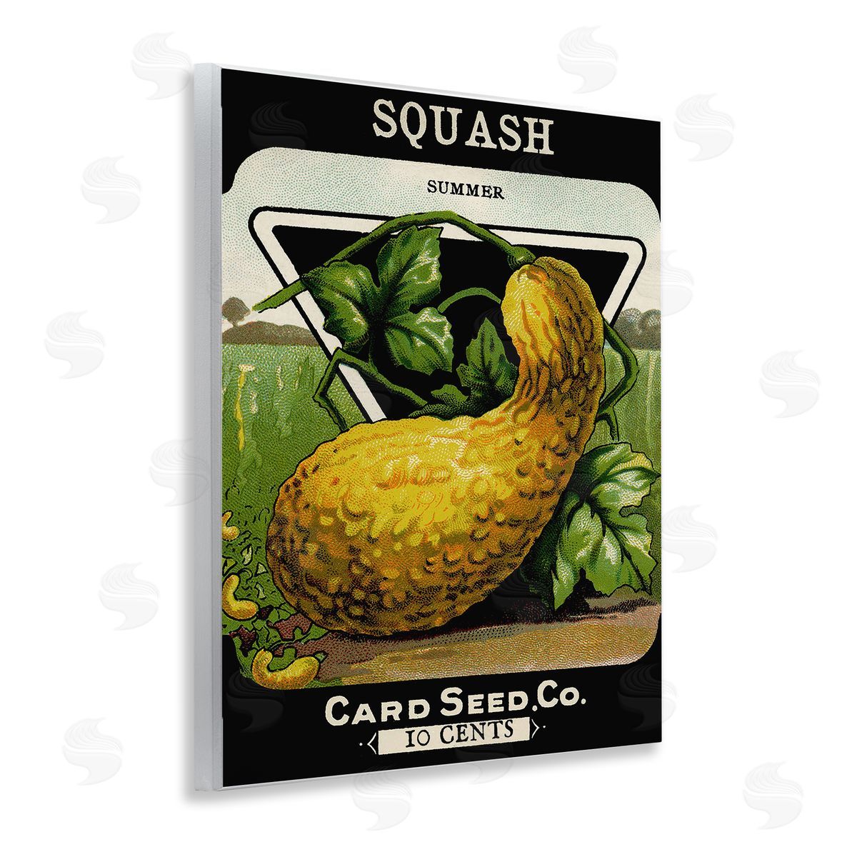 Lil' Rue | Vintage Gardening Squash