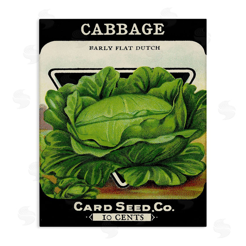 Lil' Rue | Vintage Gardening Cabbage
