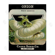 Lil' Rue | Vintage Gardening Onion