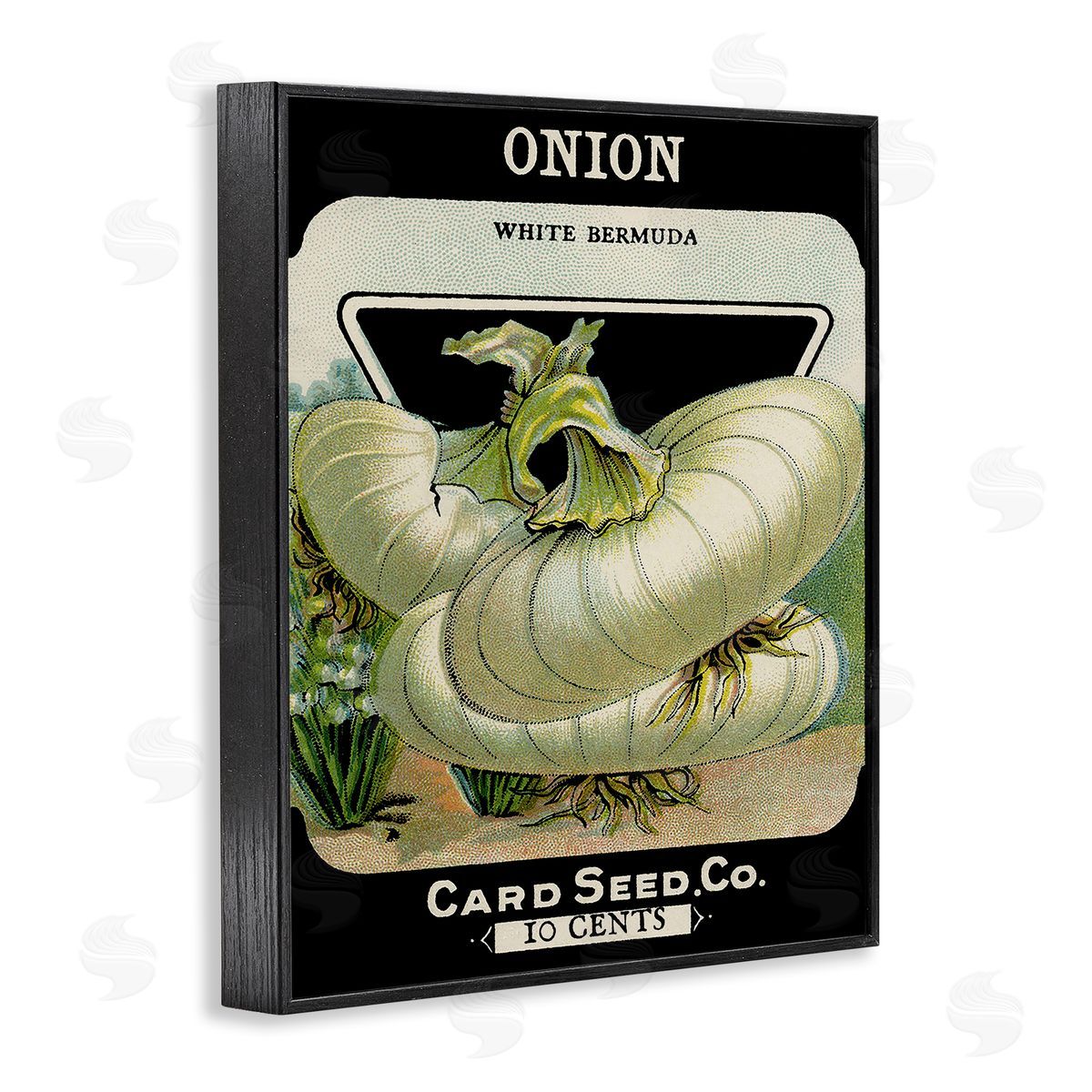 Lil' Rue | Vintage Gardening Onion