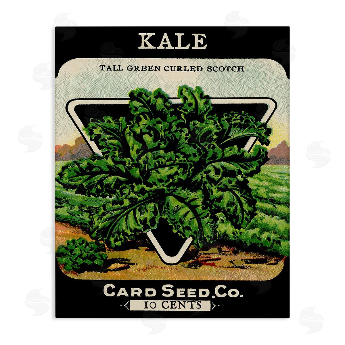 Lil' Rue | Vintage Gardening Kale
