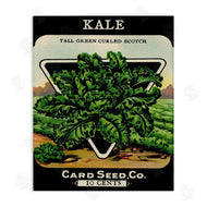Lil' Rue | Vintage Gardening Kale
