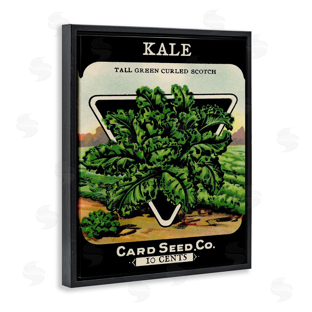 Lil' Rue | Vintage Gardening Kale