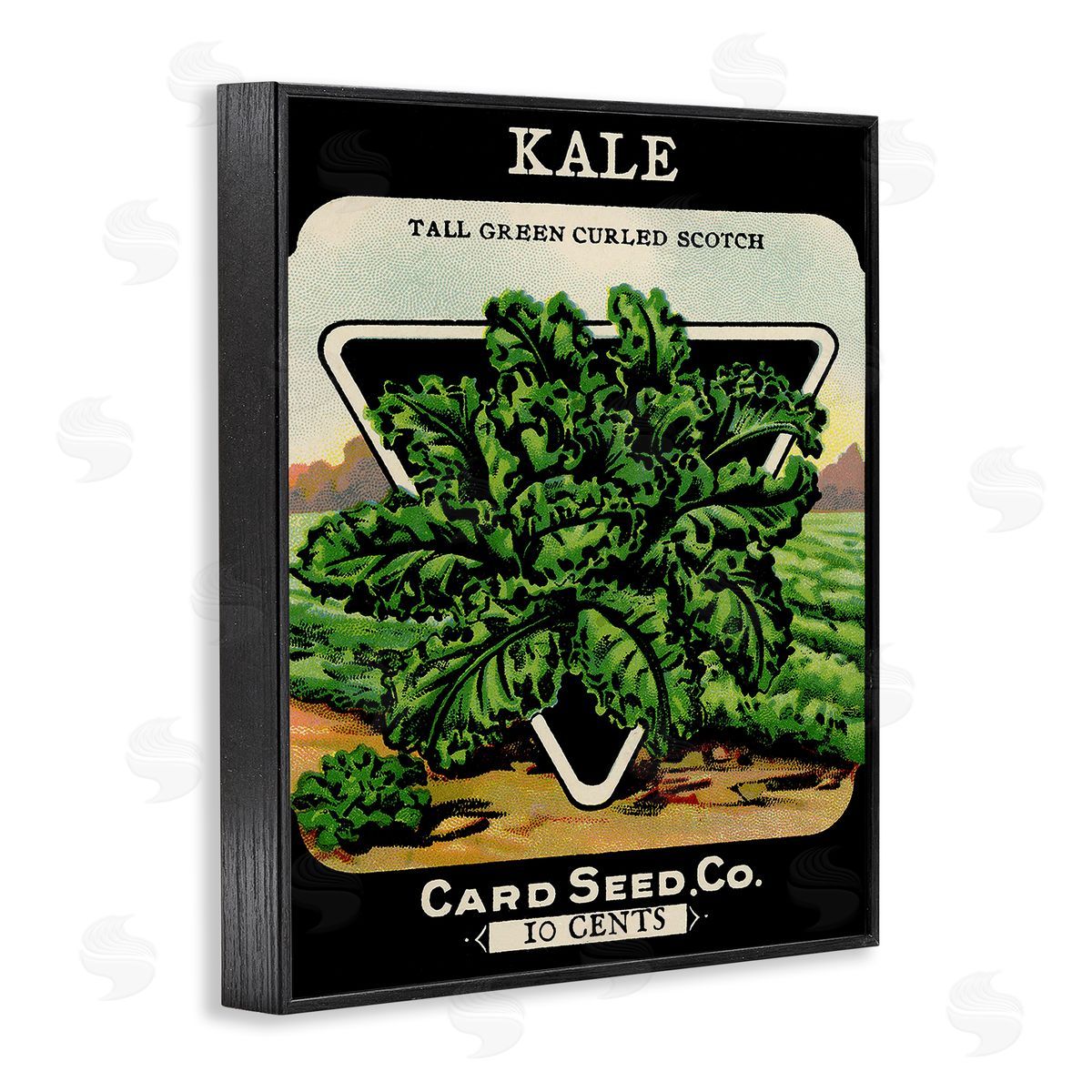 Lil' Rue | Vintage Gardening Kale