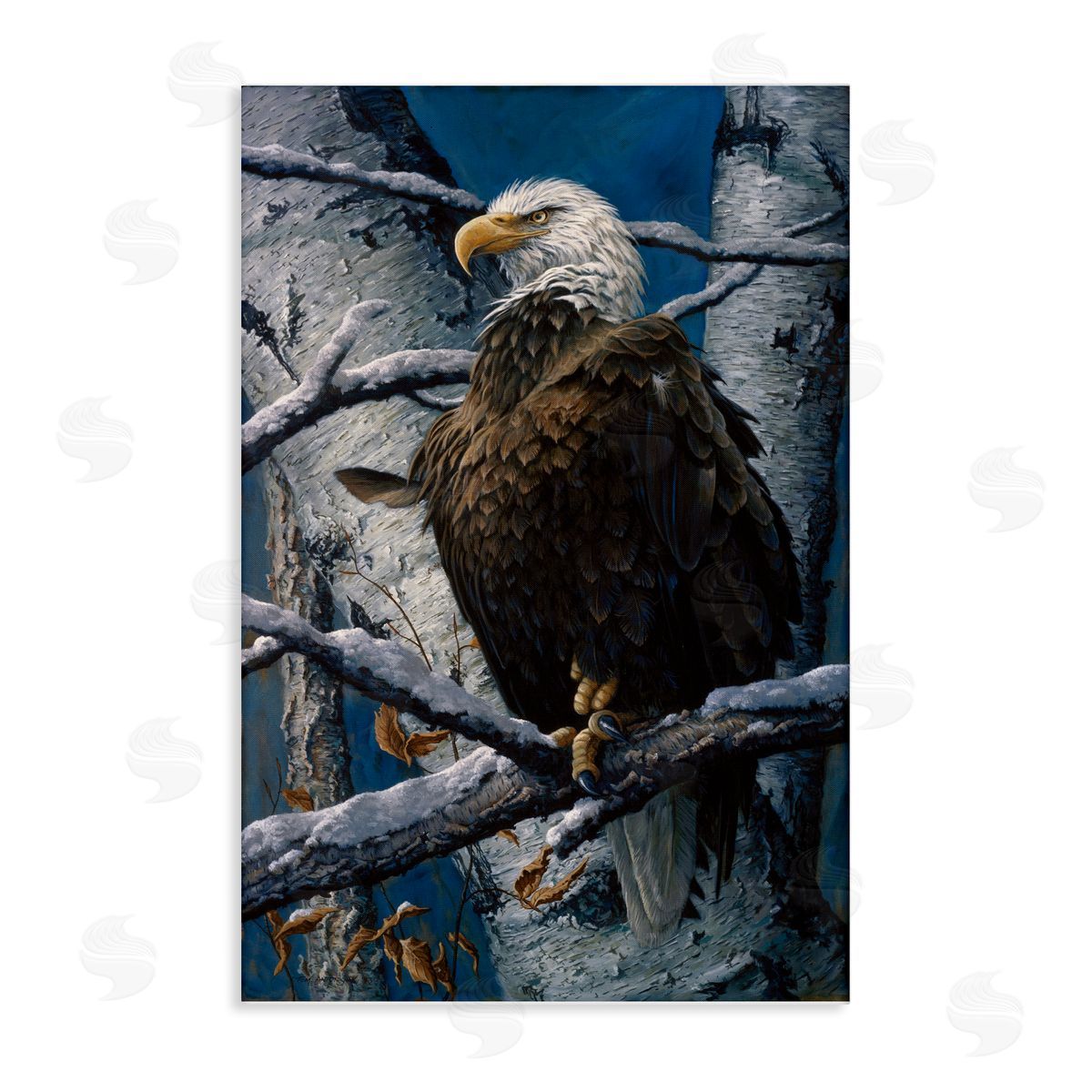 Tom Antonishak | America's Pride Bald Eagle